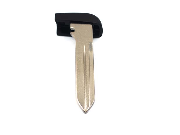 CHAVE DE EMERGENCIA PARA CHAVE DE PRESENÇA (CABEÇA PRETA)