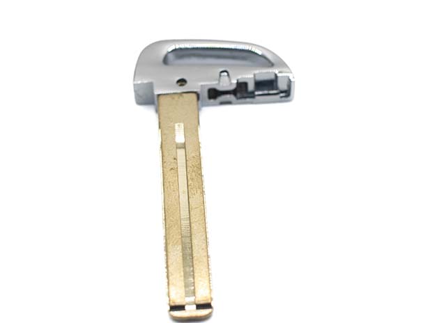 CHAVE DE EMERGENCIA PARA CHAVE DE PRESENÇA