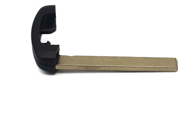 CHAVE DE EMERGENCIA PARA CHAVE DE PRESENÇA (CABEÇA PRETA)