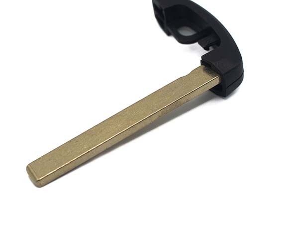 CHAVE DE EMERGENCIA PARA CHAVE DE PRESENÇA (CABEÇA PRETA)